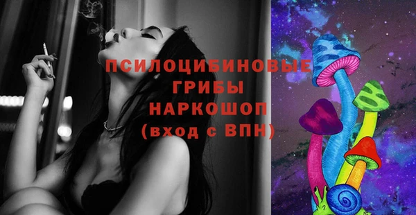 дурь Горнозаводск