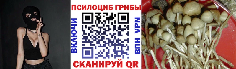 Галлюциногенные грибы MAGIC MUSHROOMS  Батайск 